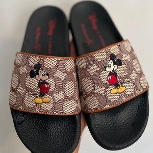 Disney x coach slides